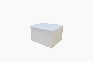 Strafor Köpük Kutu D1 Model (0.5 Kg Kapasiteli) - KoliciAbla